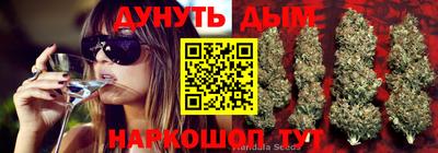 каннабис Абакан