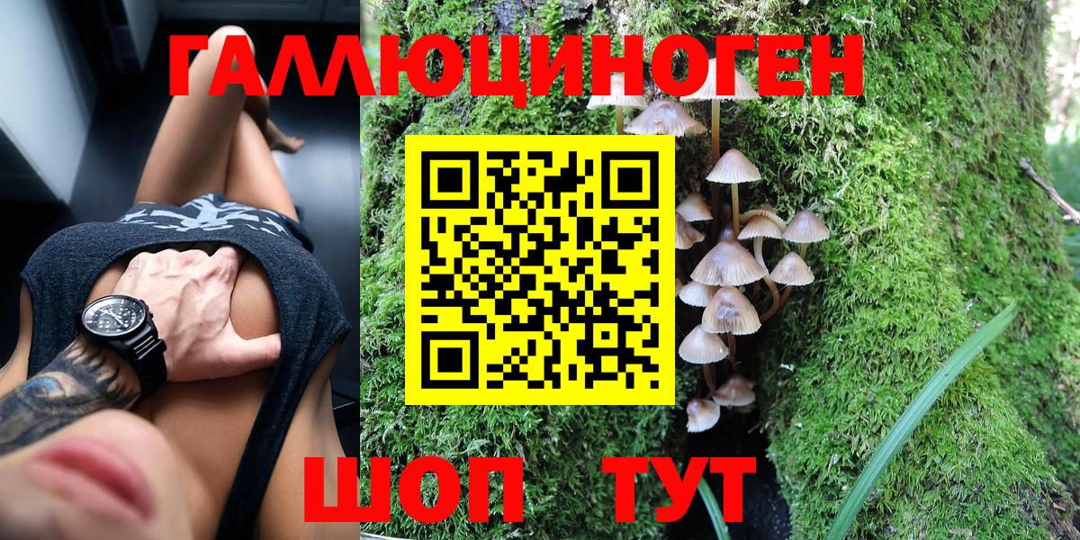 Галлюциногенные грибы MAGIC MUSHROOMS  Псилоцибиновые грибы GOLDEN TEACHER  Абинск  Вход с VPN 